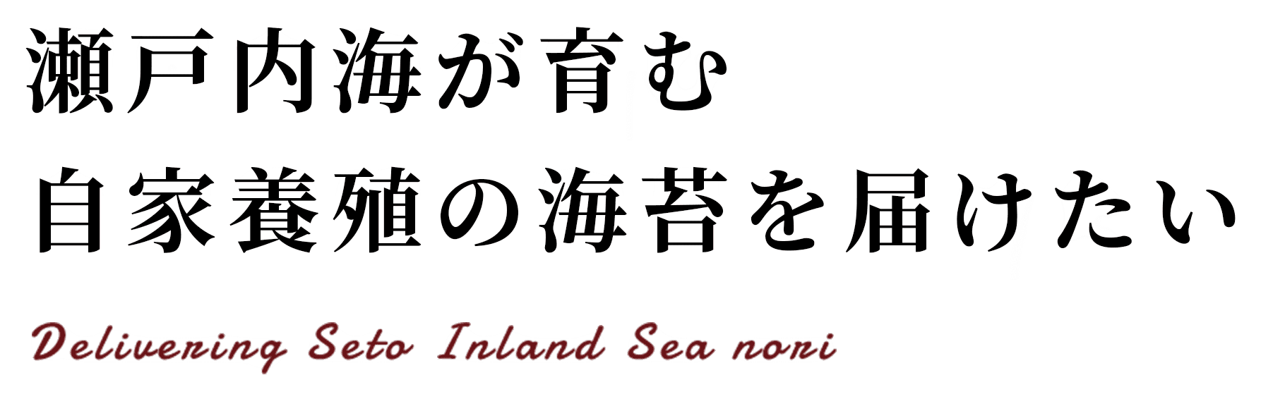 瀬戸内海が育む自家養殖の海苔を届けたい